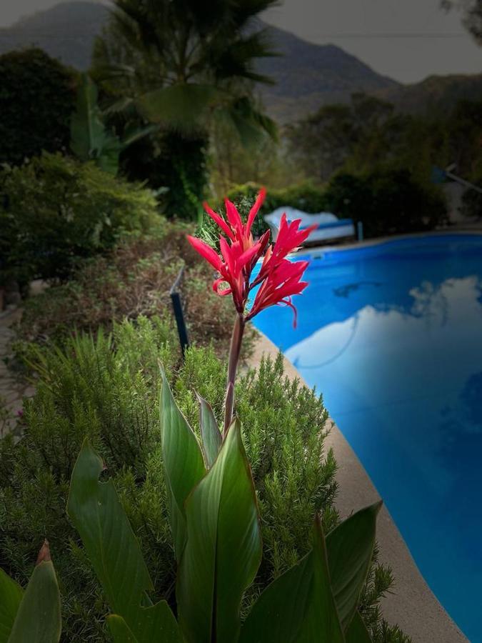 Hotel 212 Όλυμπος Εξωτερικό φωτογραφία